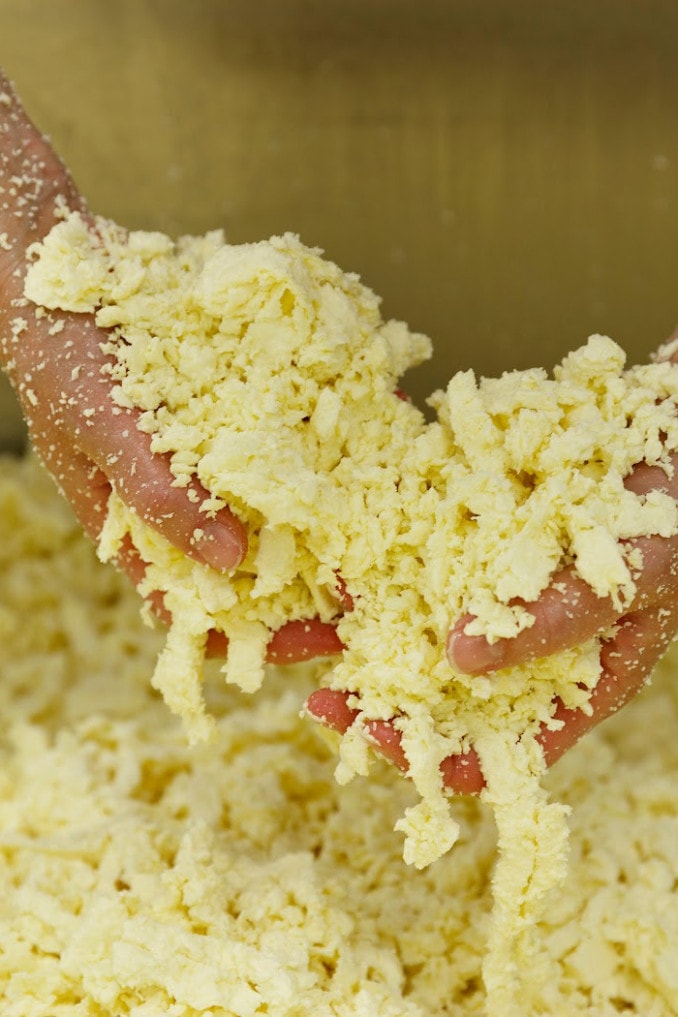 Did You Know That Parmesan Cheese Isn't Vegetarian?