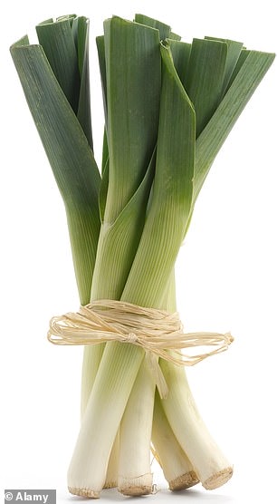 These leeks highlight the perfect proportion of leaf to stem for the Welsh vegetable - Welsh Leeks Given Protected Geographical Indication Status By Government