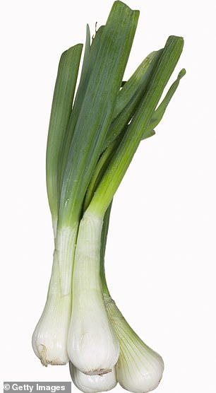 These leeks show how the vegetable can vary depending on external factors. The leaf to stem ration is more more than the tradition welsh leek - Welsh Leeks Given Protected Geographical Indication Status By Government
