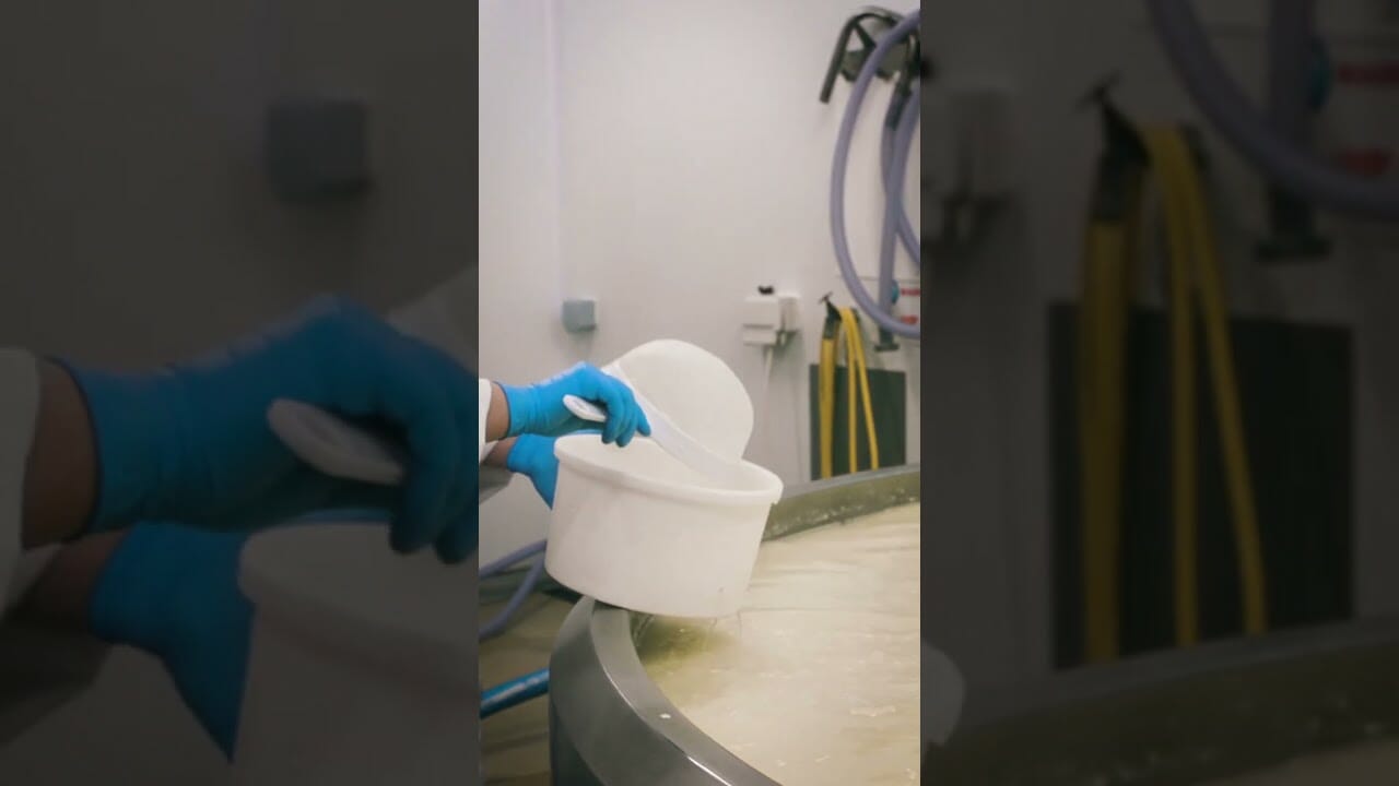 Here's how the UK's smelliest cheese is made. #StinkyCheese #UnitedKingdom #HowItsMade